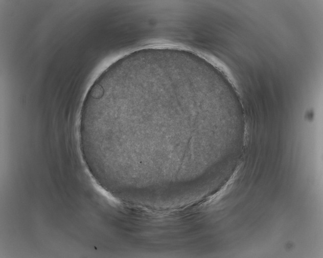 X0000116761231201001281605