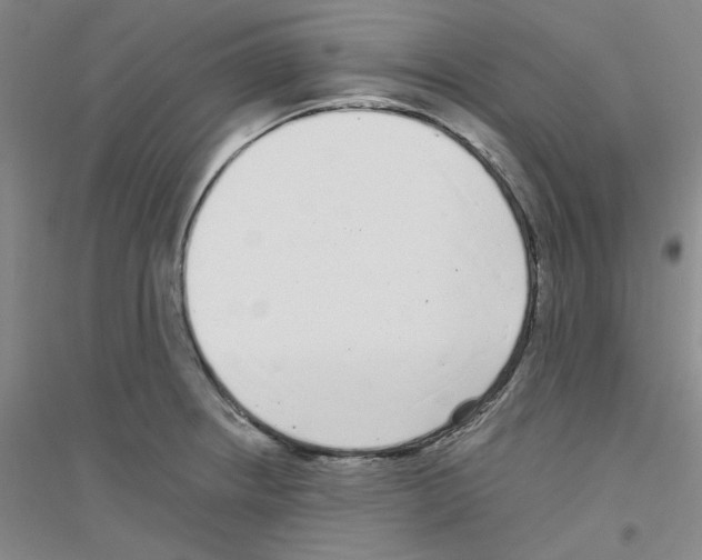 X0000116761234201001281605