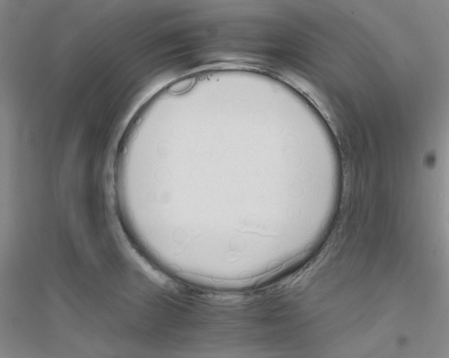 X0000116761235201001281605