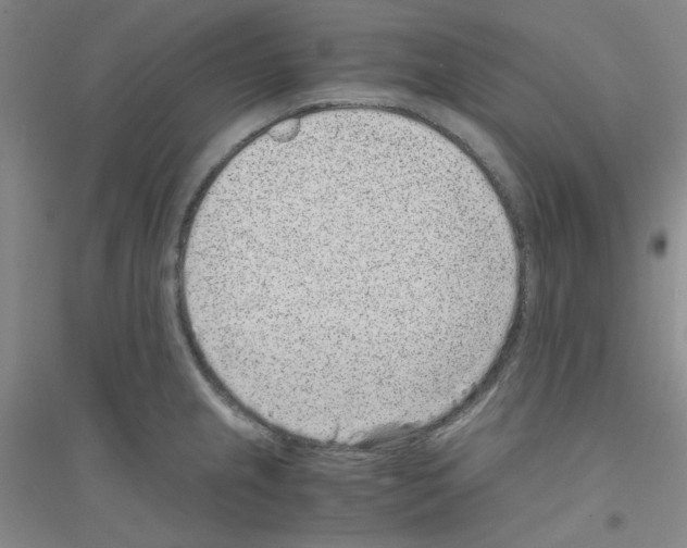 X0000116761237201001281605