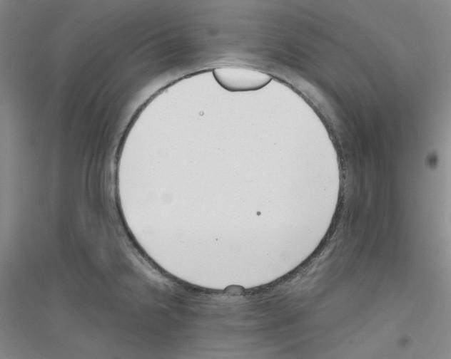 X0000116761238201001281605