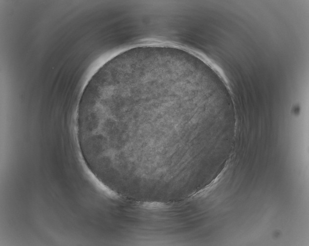 X0000116761239201001281605