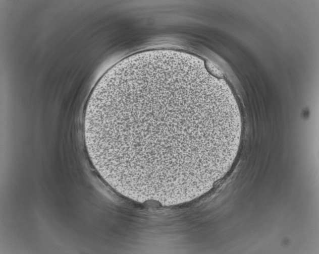 X0000116761242201001281605