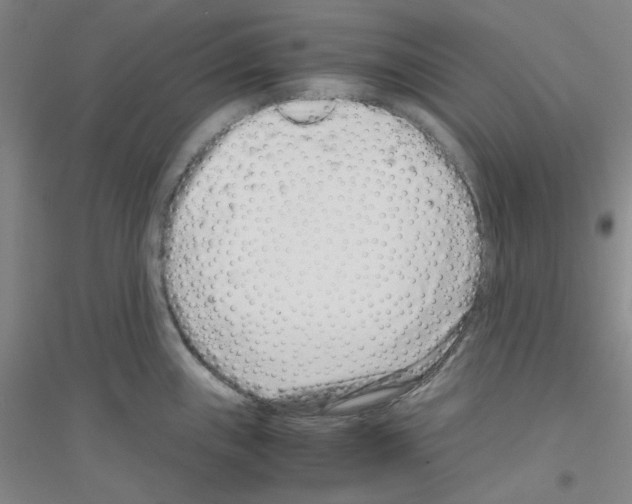 X0000116761243201001281605