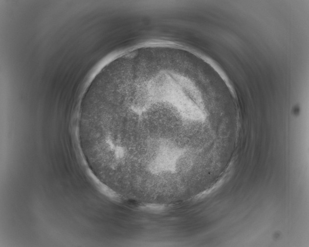 X0000116761245201001281605