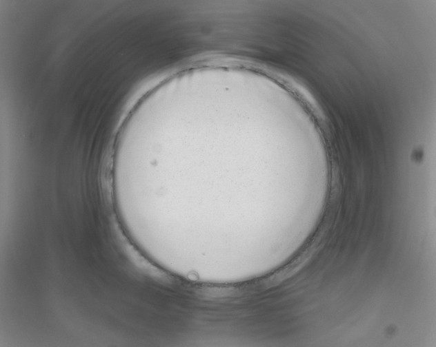 X0000116761247201001281605