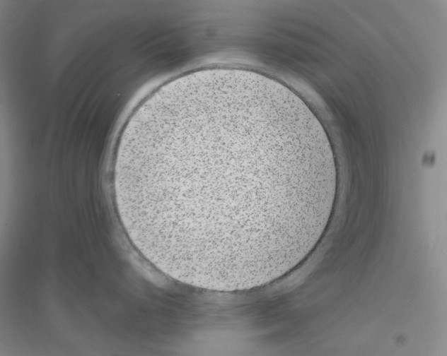 X0000116761248201001281605