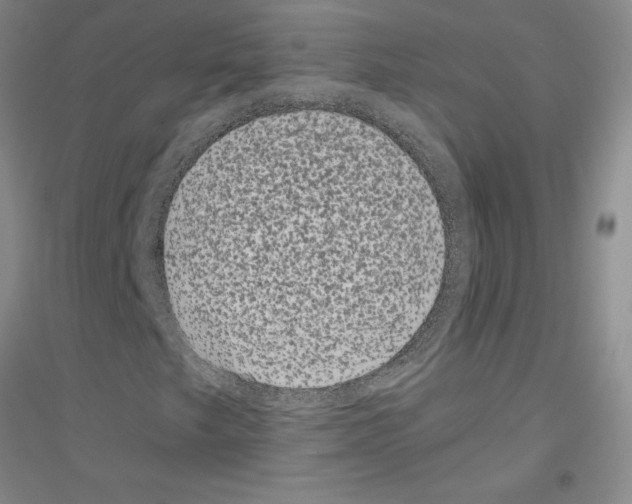 X0000116761249201001281604