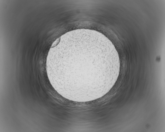 X0000116761250201001281604