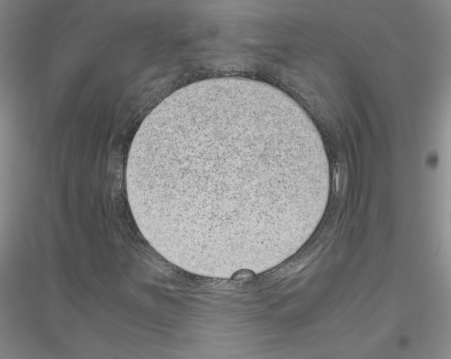 X0000116761251201001281604