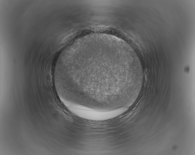 X0000116761252201001281604