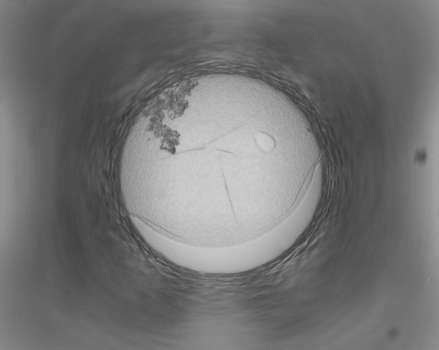 X0000116761253201001281604