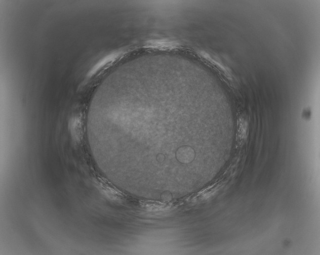 X0000116761254201001281604