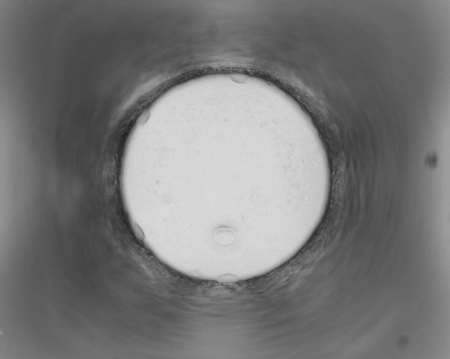 X0000116761255201001281604