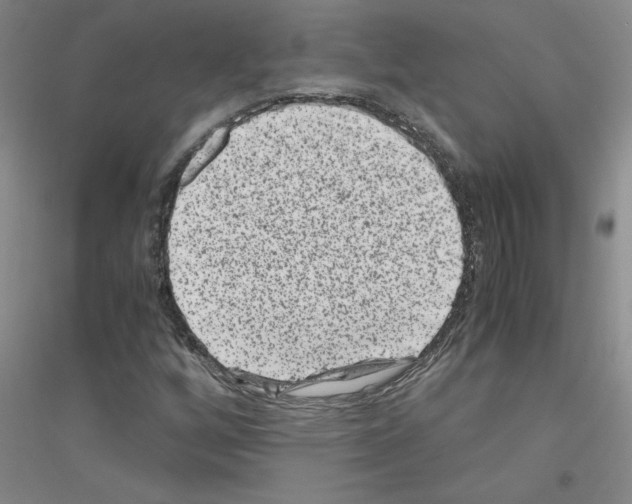 X0000116761256201001281604