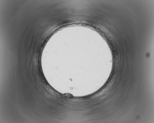 X0000116761257201001281604