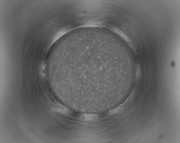 X0000116761258201001281604