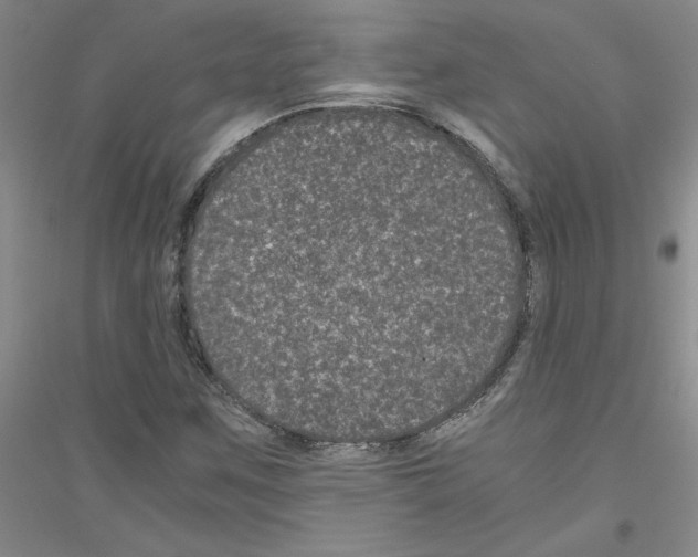 X0000116761259201001281604