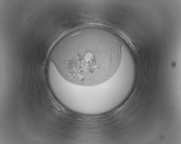 X0000116761260201001281604