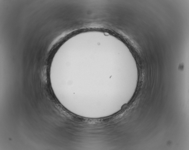 X0000116761262201001281604