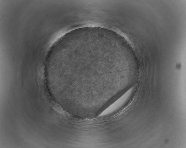 X0000116761263201001281604