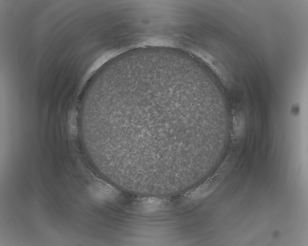 X0000116761266201001281604