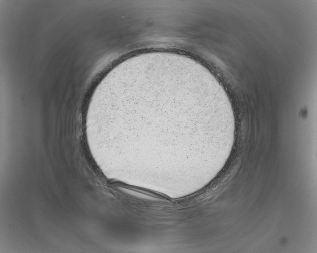 X0000116761267201001281604