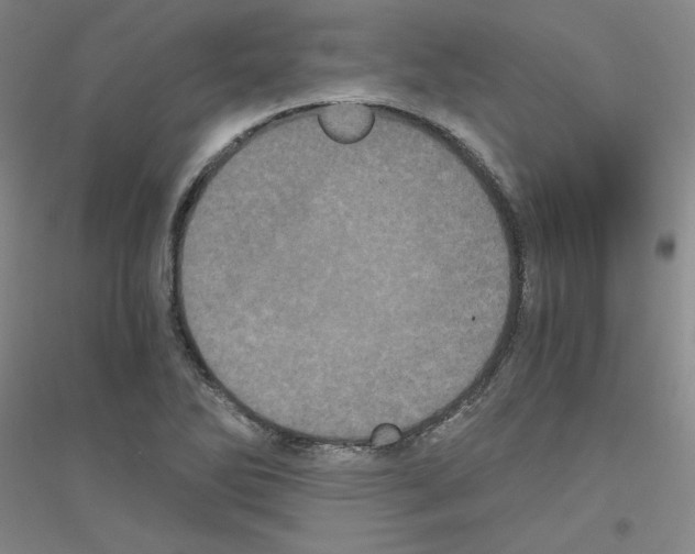 X0000116761270201001281604