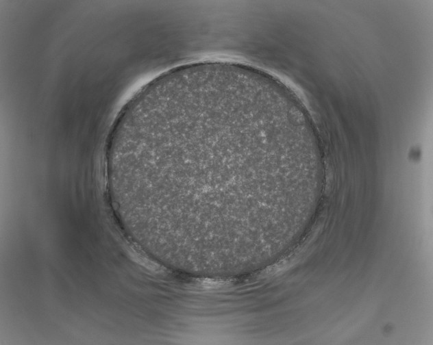 X0000116761271201001281604