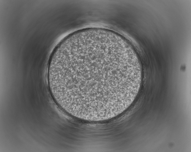 X0000116761272201001281604