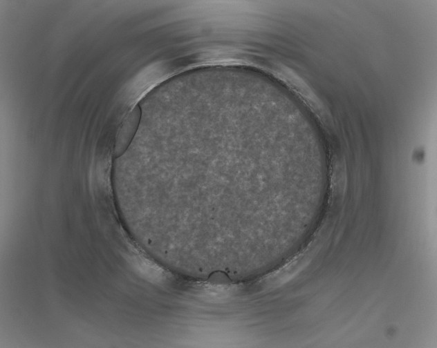 X0000116761273201001281604