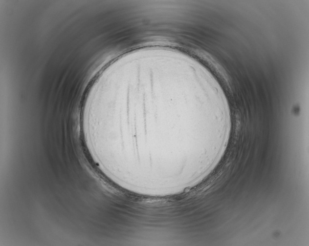 X0000116761274201001281604