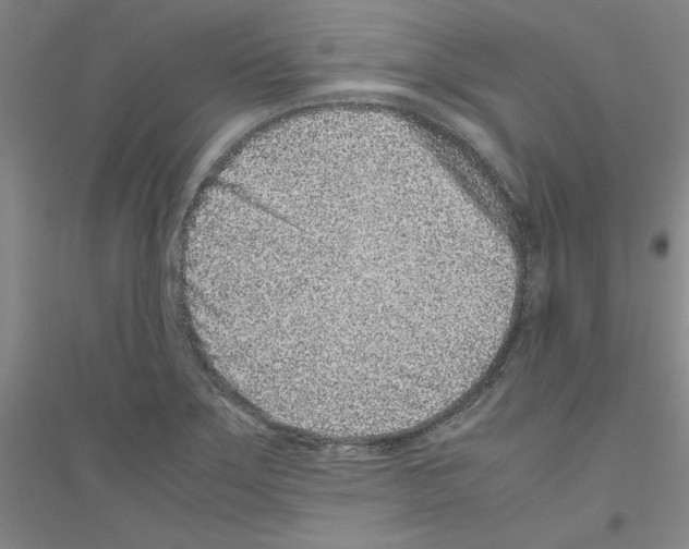 X0000116761275201001281604