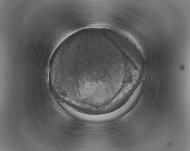 X0000116761276201001281604