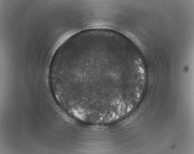 X0000116761277201001281604