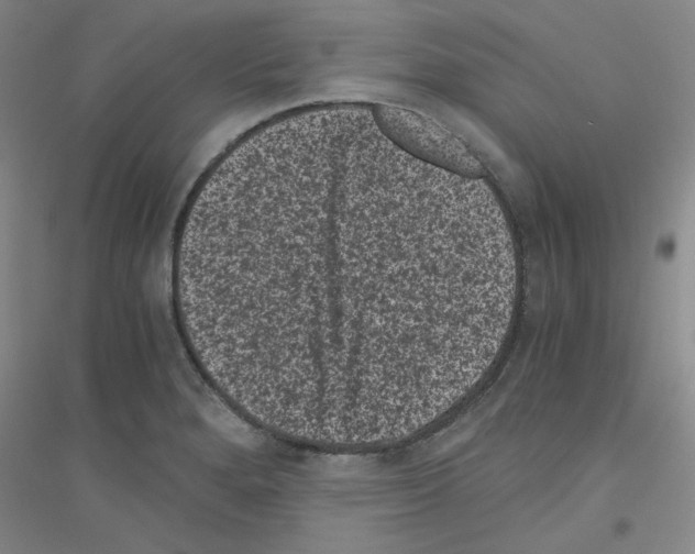 X0000116761280201001281604