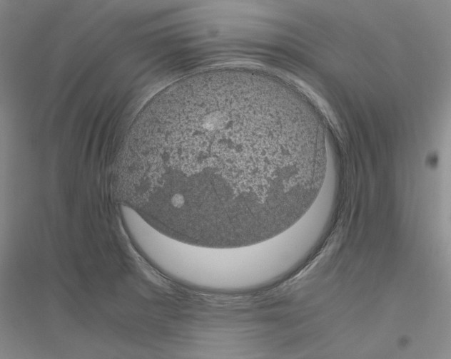 X0000116761281201001281604