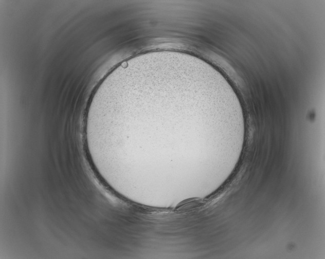 X0000116761282201001281604