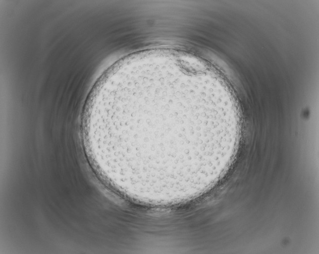 X0000116761283201001281604