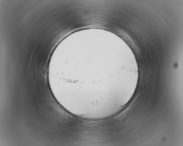 X0000116761284201001281604