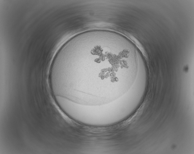 X0000116761285201001281604