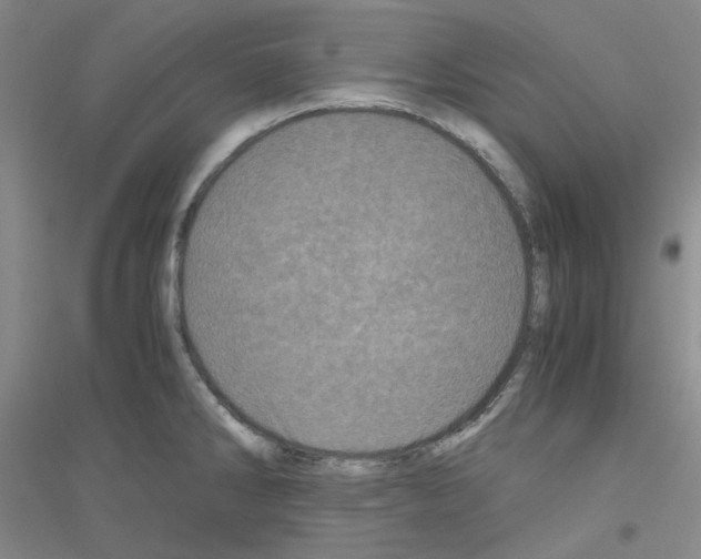 X0000116761286201001281604