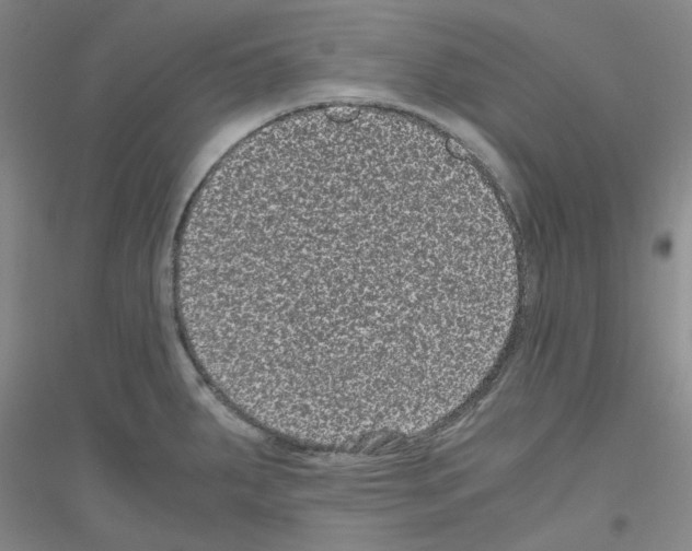 X0000116761287201001281604