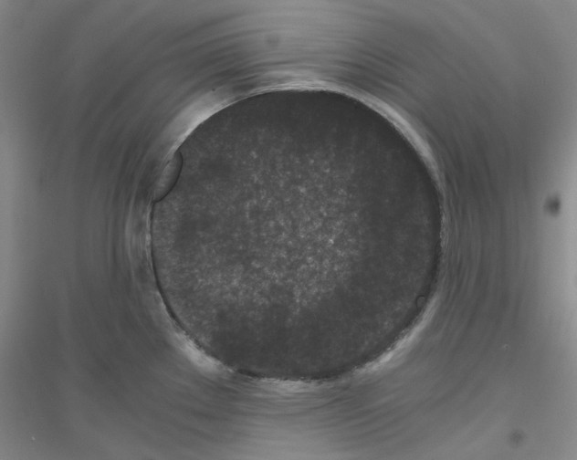 X0000116761289201001281604