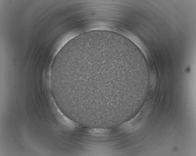 X0000116761290201001281604