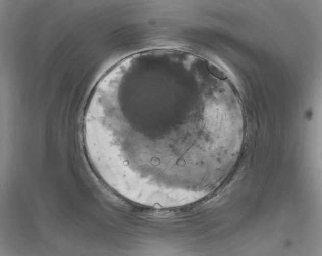 X0000116761291201001281604