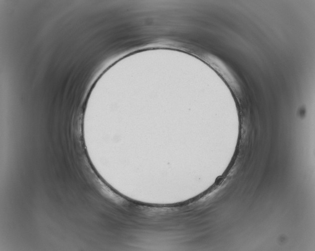 X0000116761292201001281604