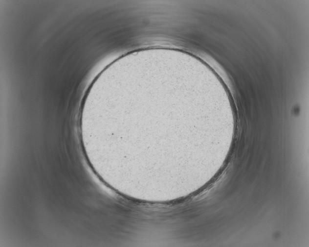 X0000116761293201001281604