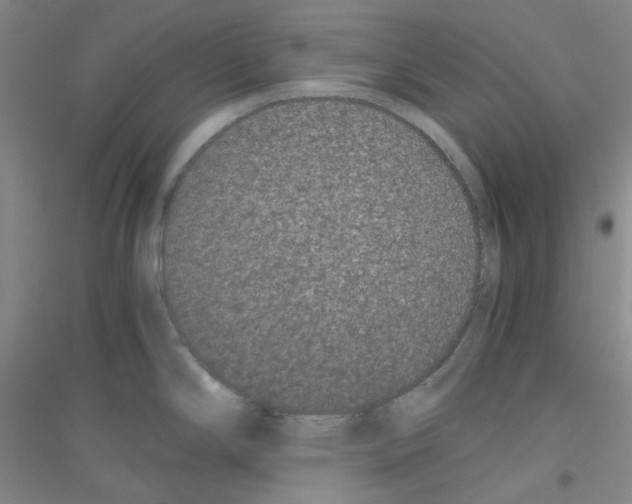 X0000116761294201001281604