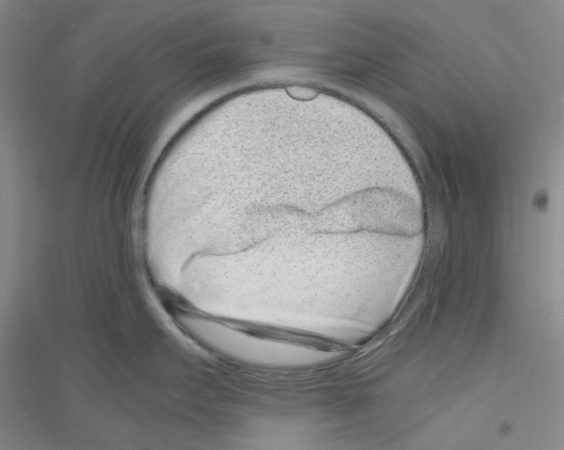 X0000116761295201001281604